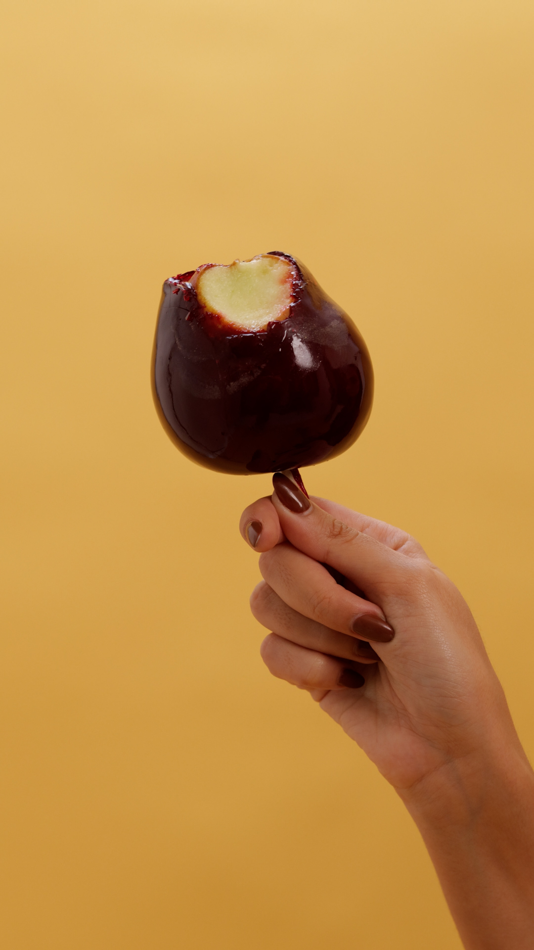 Bessie São João - Foto 2